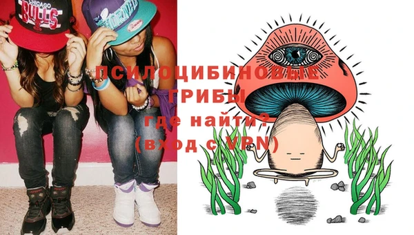 индика Армянск