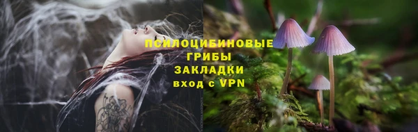 трава Арсеньев