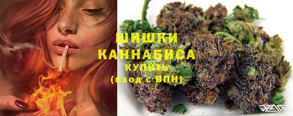 трава Арсеньев