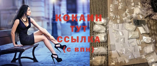 индика Армянск