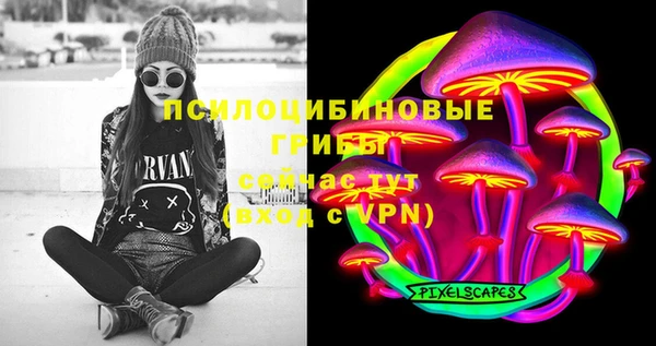 трава Арсеньев