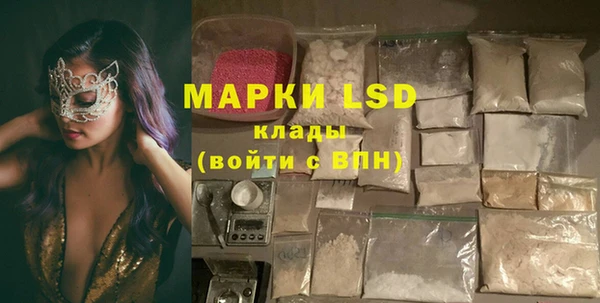 индика Армянск