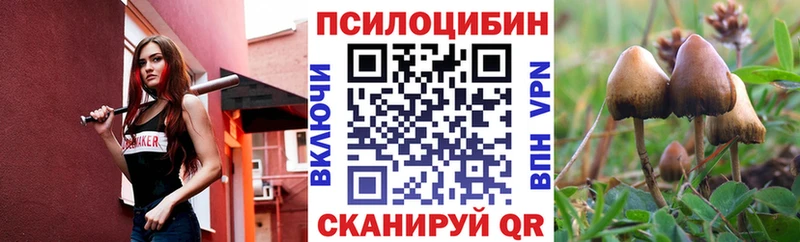 blacksprut рабочий сайт Пудож Псилоцибиновые грибы Cubensis
